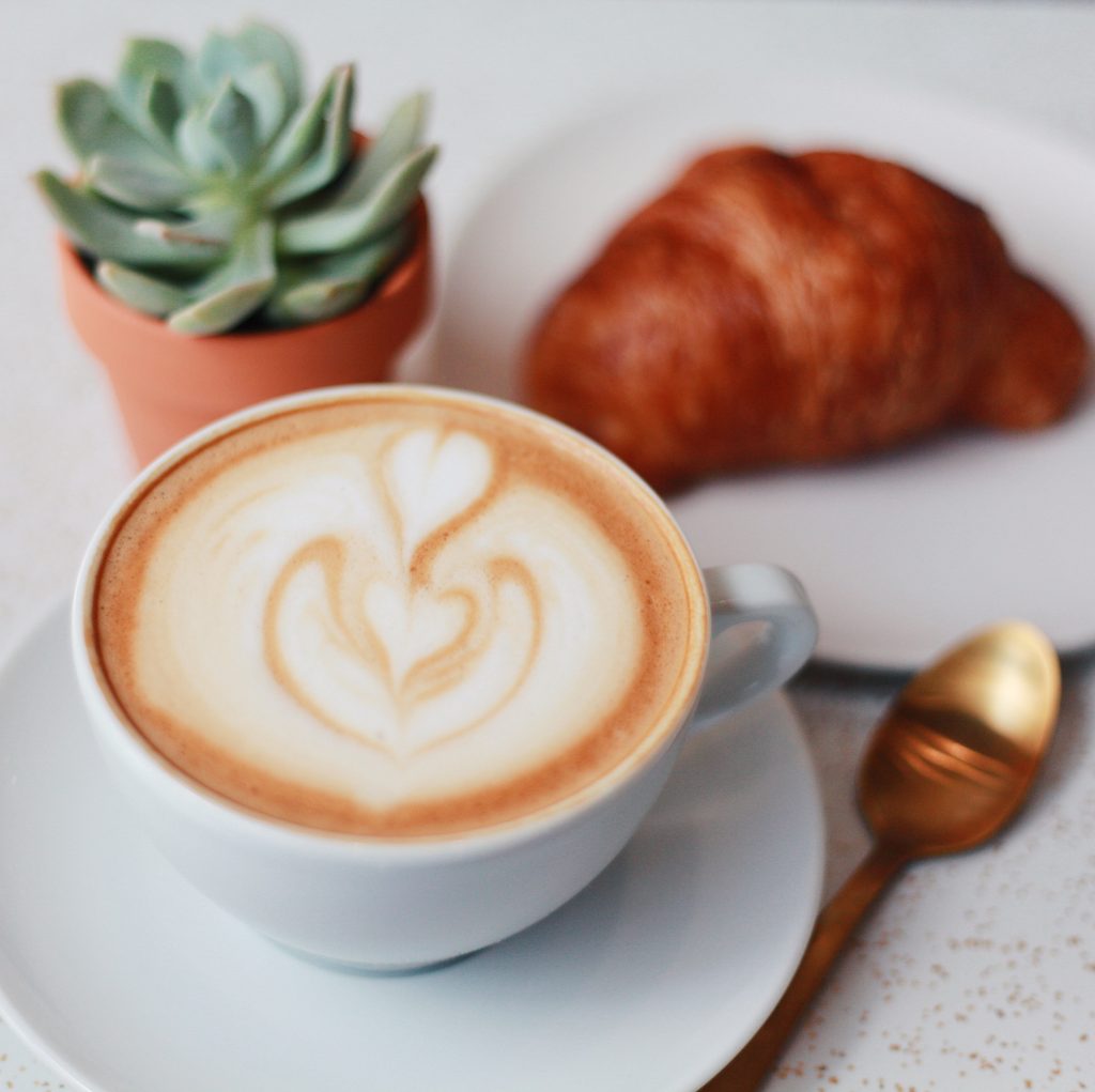 latte and plant