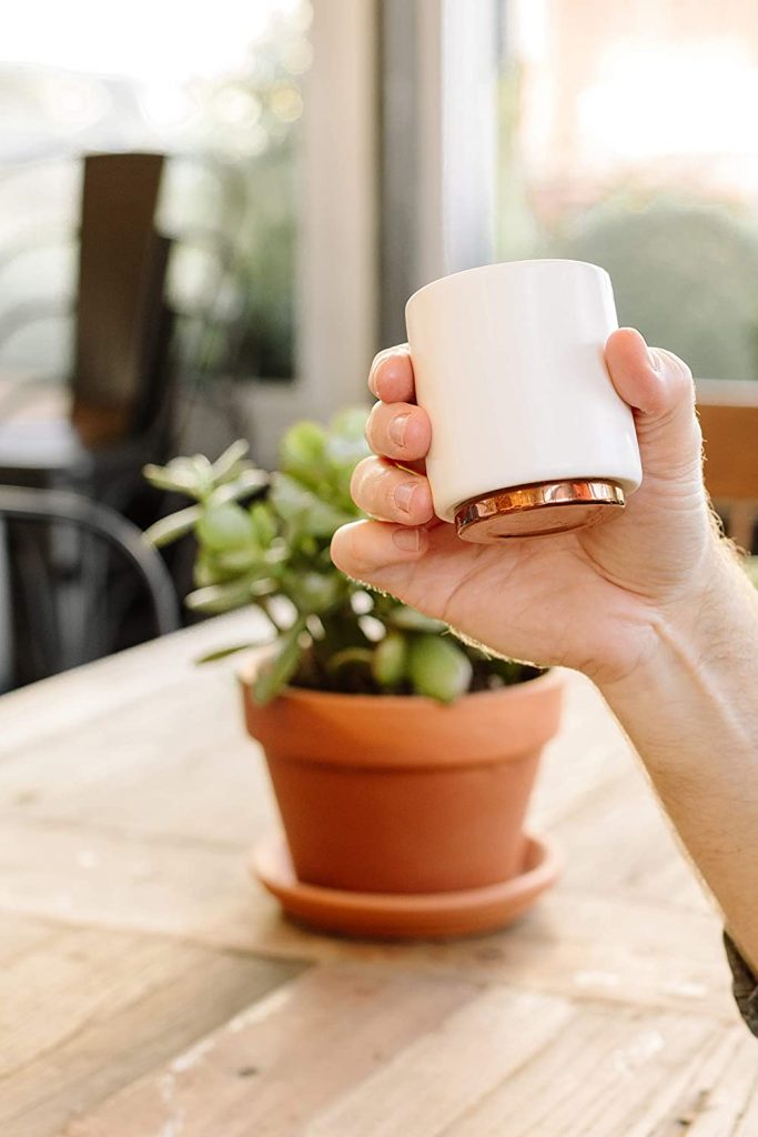 These are the best cortado cups…..and they are for plants : r/espresso