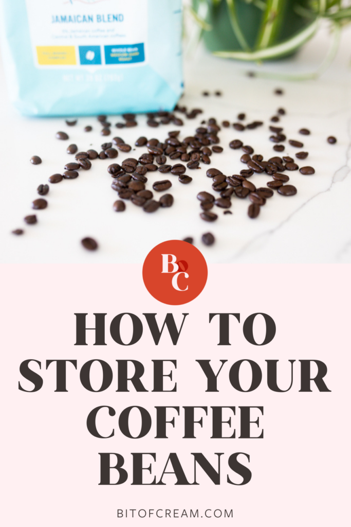 how to store your coffee beans