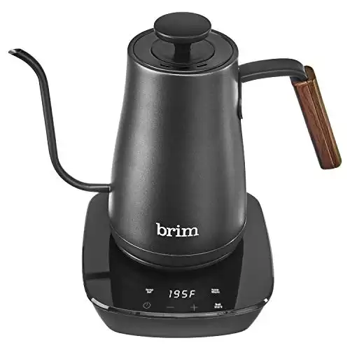 brim Temperature Control Electric Gooseneck Kettle